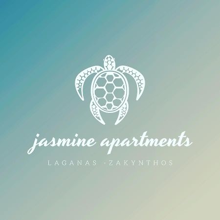 Jasmine 1 Appartamento Laganas Esterno foto